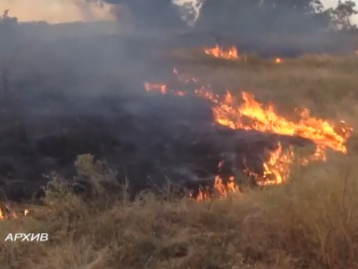 Ранняя весна и сухая погода увеличили число природных пожаров в Ростовской области в три раза.
