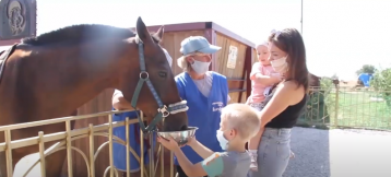 Итоги года детского-реабилитационного центра «Добрая лошадка»