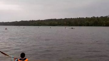Очередные успехи ребят занимающихся греблей