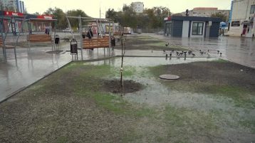 Не всем эстетически и функционально понравился новый облик торговой площади