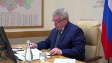 Состоялся интерактивный приём губернатора Ростовской области