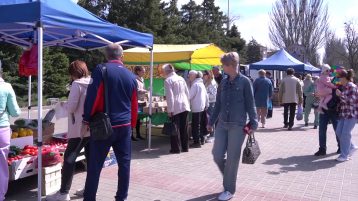 Старая добрая ярмарка выходного дня