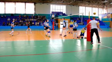 Чемпионат области по волейболу