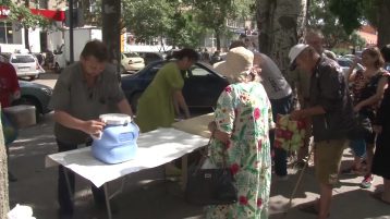 В Волгодонске организовано несколько точек кормления