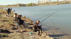 Сезон зарубы вблизи города открыт